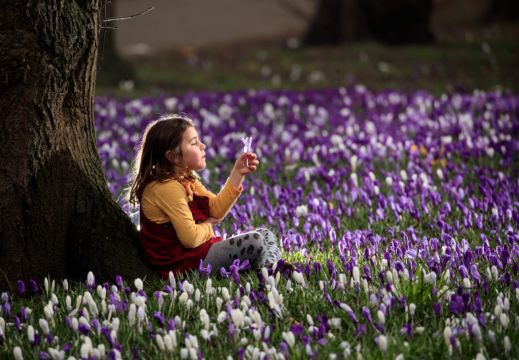 In Pictures: Spring Is In The Air As Sun Shines Over Uk