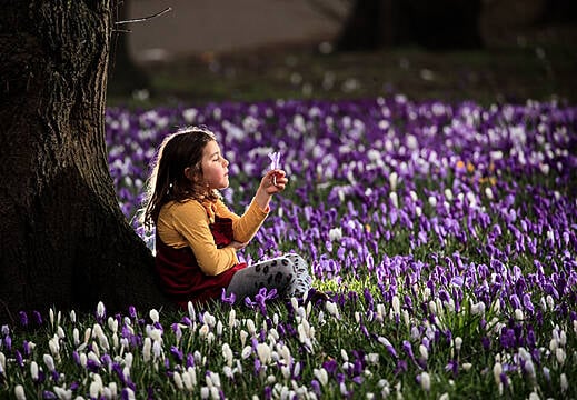 In Pictures: Spring Is In The Air As Sun Shines Over Uk