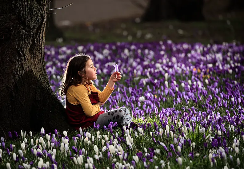 In Pictures: Spring Is In The Air As Sun Shines Over Uk