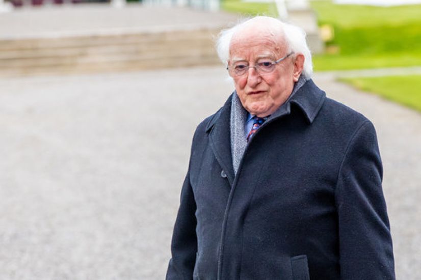 President Michael D Higgins Has A New Puppy