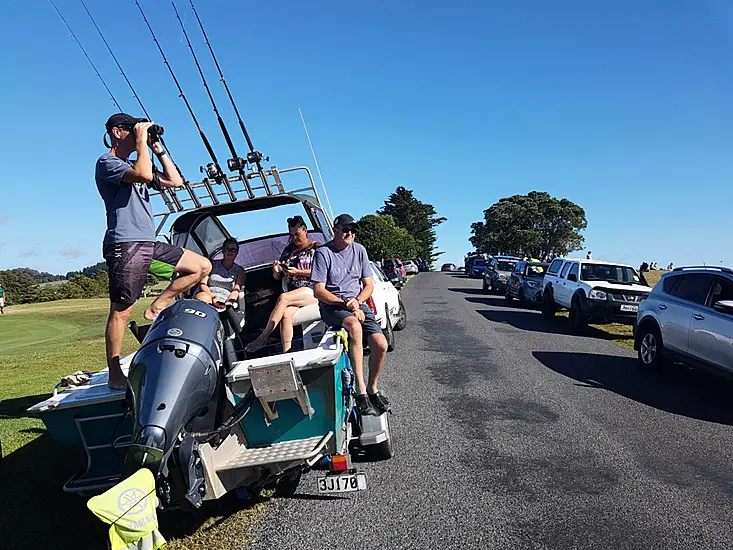 Powerful Earthquake Off New Zealand Coast Prompts Evacuations