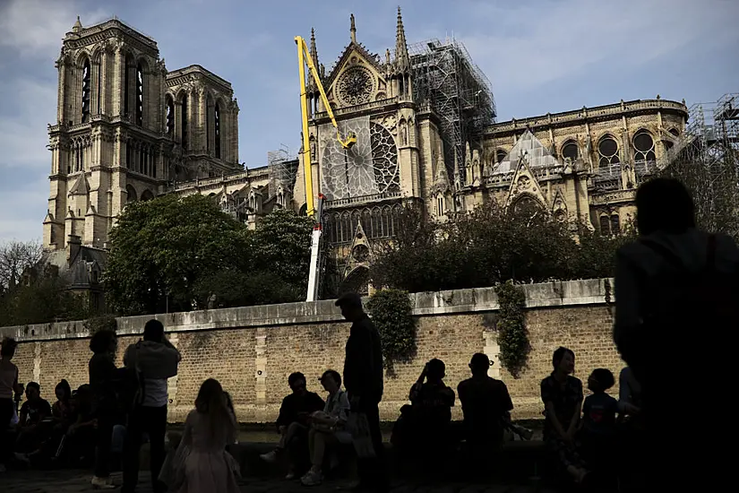 First Oak Trees Selected To Replace Notre Dame’s Spire