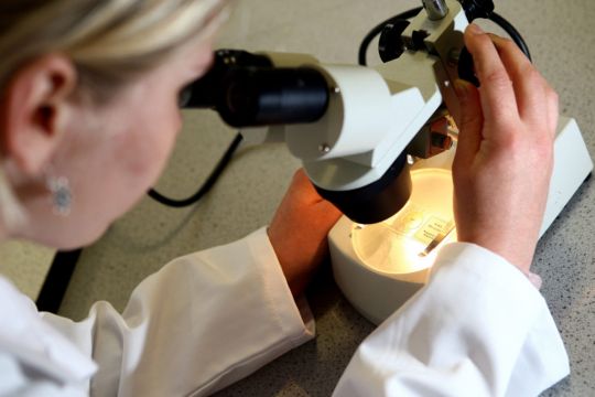 Revenues At Cervicalcheck Scandal Lab Increased By 40% After Issues Became Public