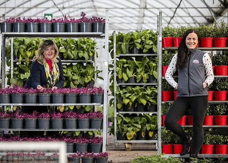 Consumer Spend On Gardening Increases To €1.2Bn In 2020