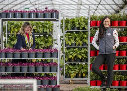 Consumer Spend On Gardening Increases To €1.2Bn In 2020