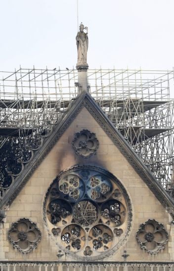 Trees Felled In Quest To Rebuild Spire Of Fire-Ravaged Notre Dame