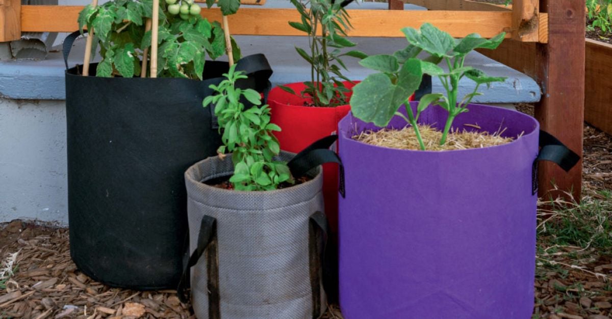 The Benefits of Using Grow Bags in Your Garden – UrbanMali