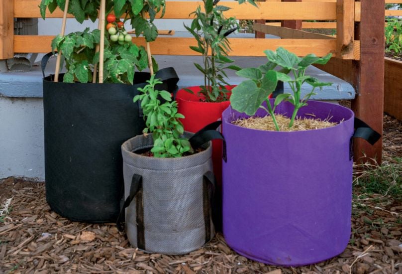 Six Imaginative Ways To Use Grow Bags In Small Spaces