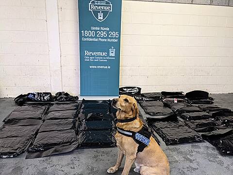 Drugs Worth €1.8 Million Found At Cork Port