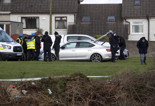 Gardaí Find Skeletal Remains In Louth Linked To Murder Of Teenage Boy
