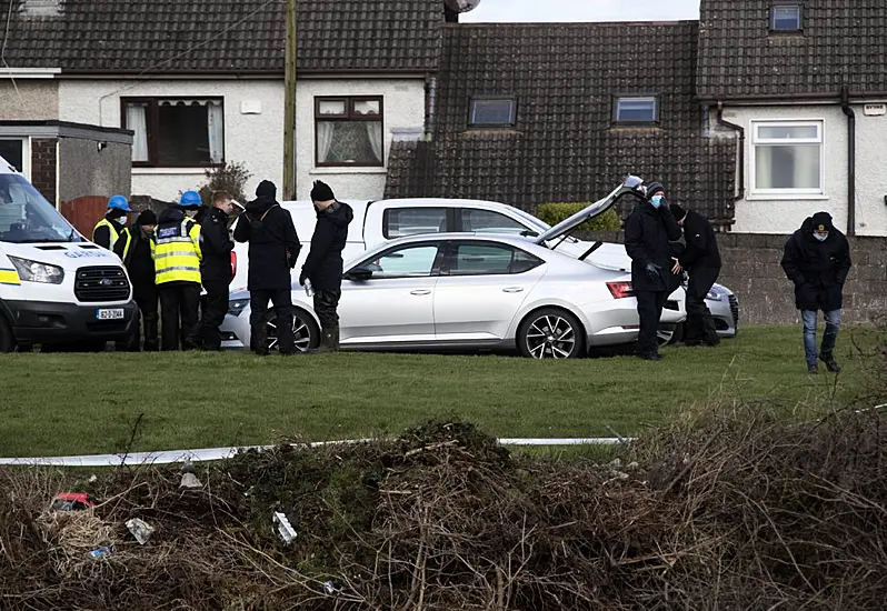 Gardaí Find Skeletal Remains In Louth Linked To Murder Of Teenage Boy