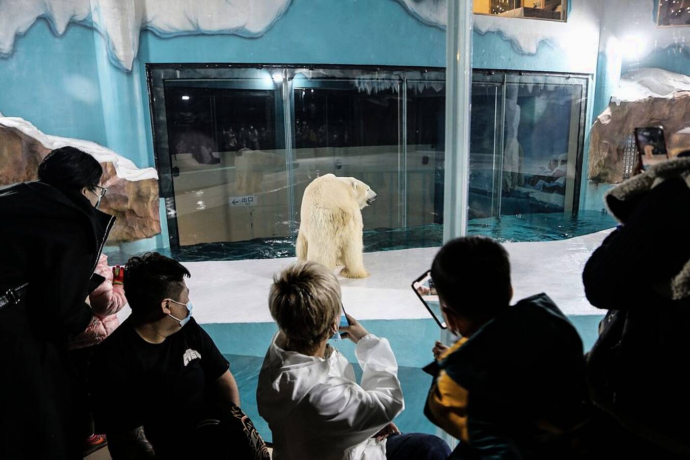 People Take Photos Of A Polar Bear In The Hotel. Photo: Afp Via Getty Images