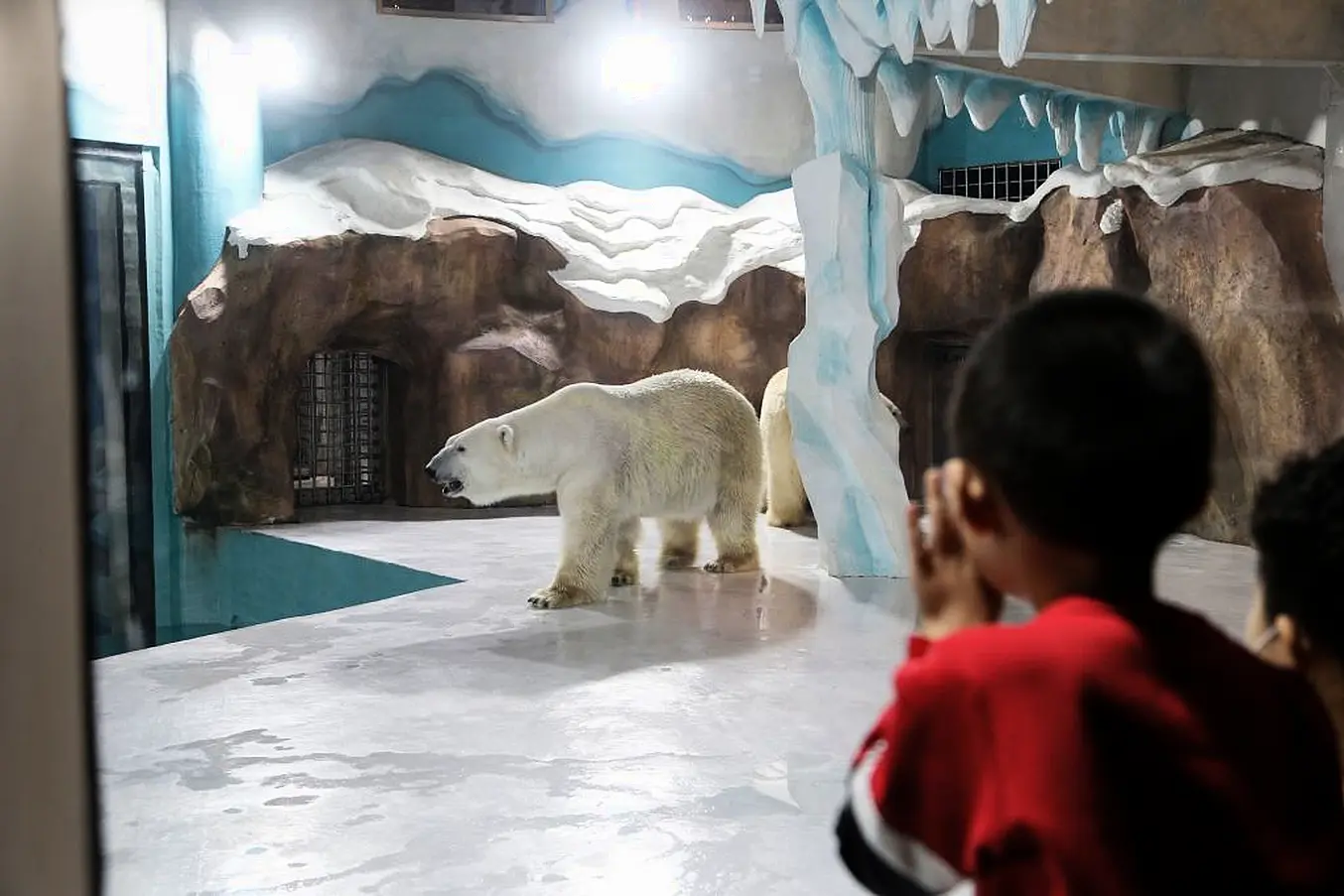 People Look At A Polar Bear Inside An Enclosure At The Newly-Opened Hotel. Photo: Afp Via Getty Images