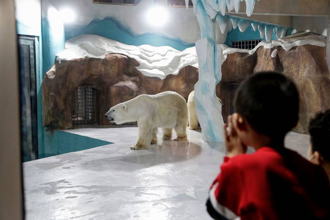 People Look At A Polar Bear Inside An Enclosure At The Newly-Opened Hotel. Photo: Afp Via Getty Images