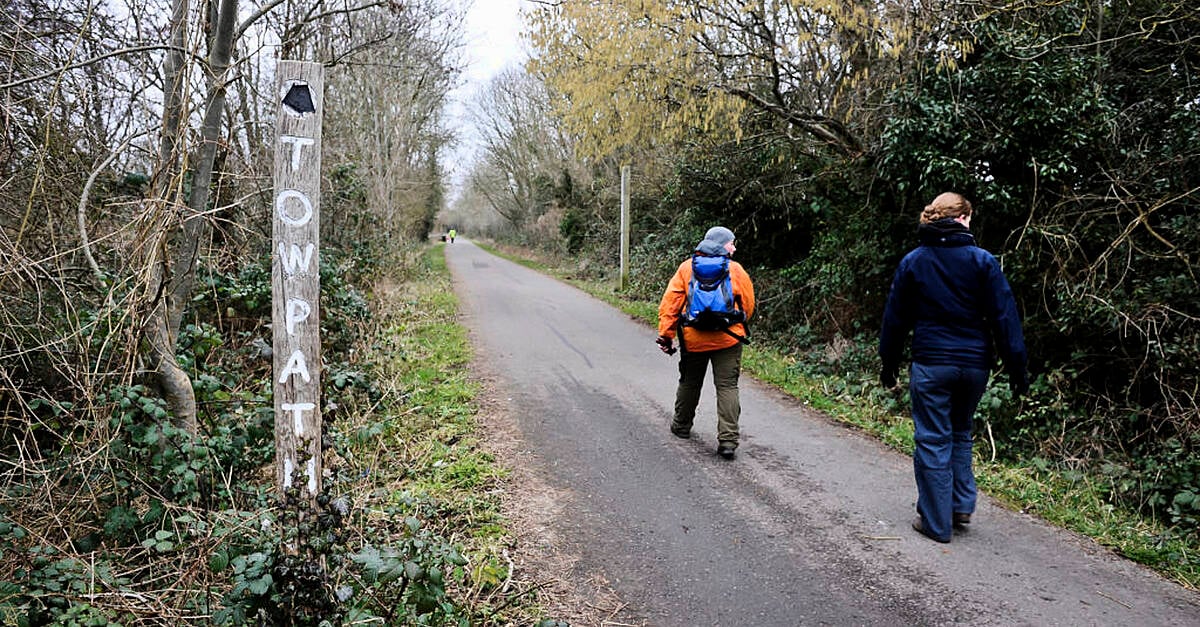 slow-walkers-may-be-more-likely-to-die-from-covid-19-study-suggests