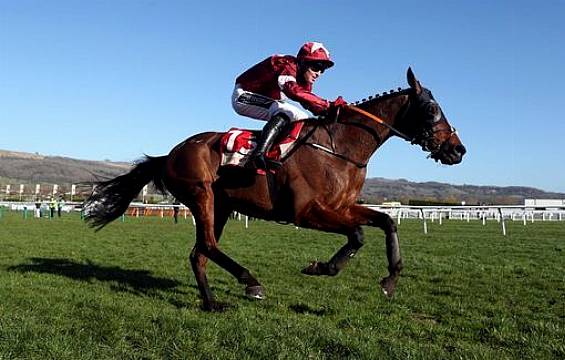 Tiger Rolls Back The Years To Win At Cheltenham Again