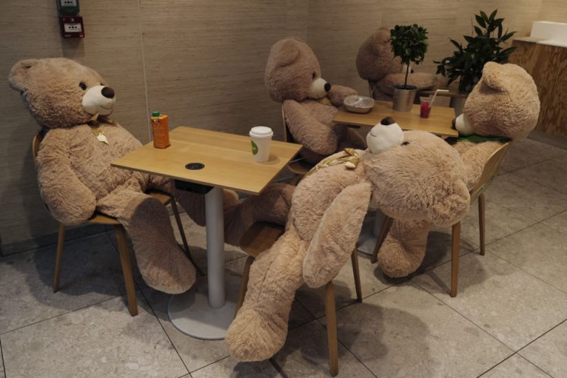 In Pictures: Bookseller Keeps Paris Plush With Teddy Bears