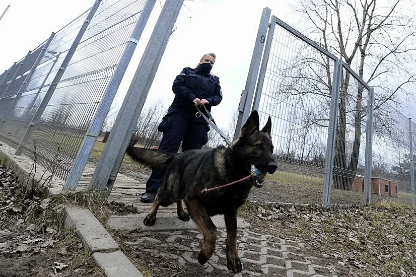 Poland Plans Pensions For Retired Police Dogs And Horses