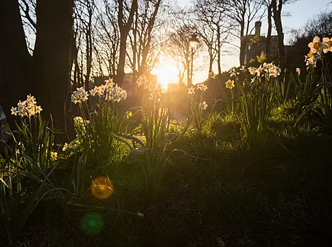 12 Small Joys Of The Clocks Springing Forward