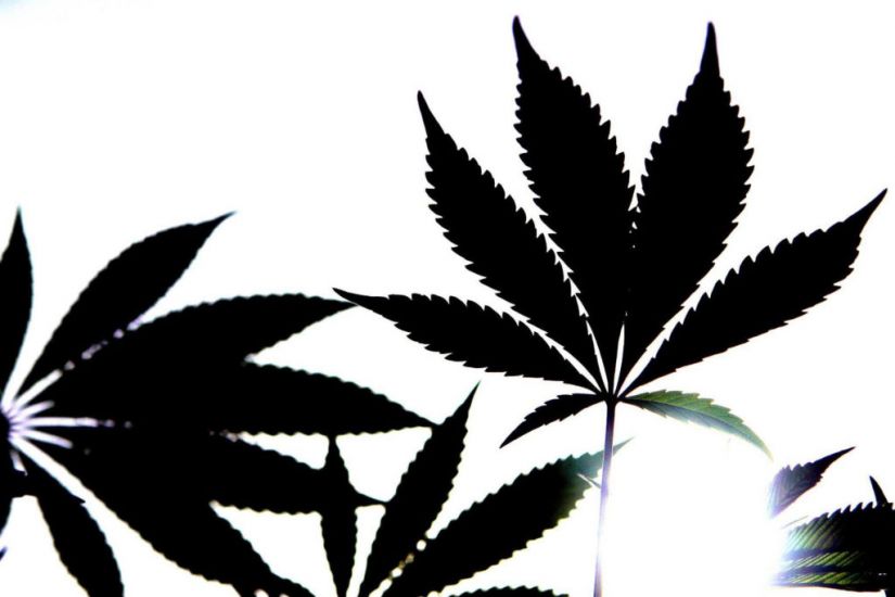 New York Legislators Agree To Legalise Recreational Marijuana