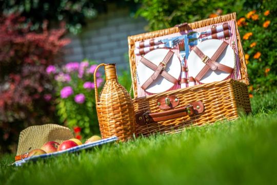 Eight Tips For The Ultimate Picnic