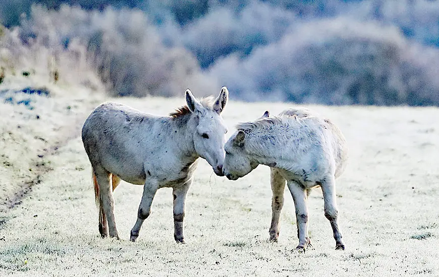 Bank Holiday Sees Return Of ‘Wintry’ Weather Conditions