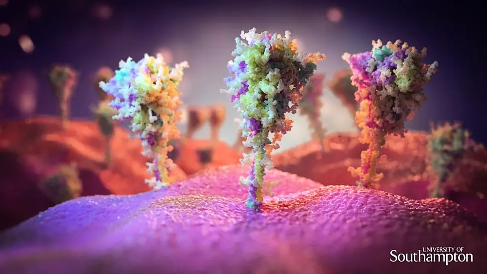 Images Show How Astrazeneca Vaccine Turns Cells Into ‘Little Factories’