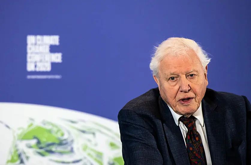 Sir David Attenborough Enjoyed ‘Completely Different Soundtrack’ Of Lockdown