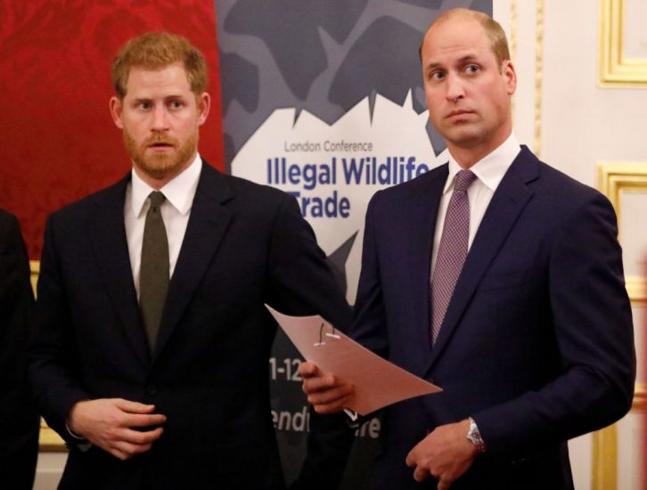 William And Harry Will Walk Apart In Grandfather Philip’s Funeral Procession