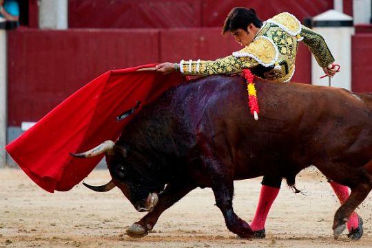 Madrid To Host Charity Bullfight For Matadors Left Jobless By Covid