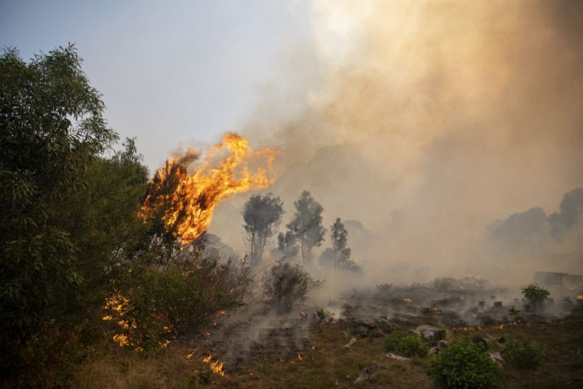 Residents Evacuated As Table Mountain Fire Spreads In Cape Town