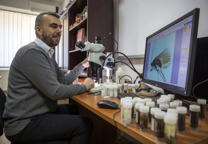 Kosovar Biologist Names Newly Discovered Insect After Coronavirus