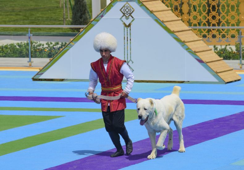 Turkmenistan Marks State Holiday Honouring Its Native Dog Breed