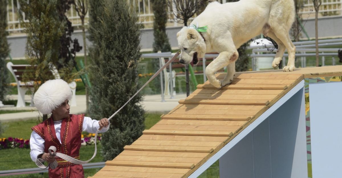 Turkmenistan dedicates new national holiday to native dog breed
