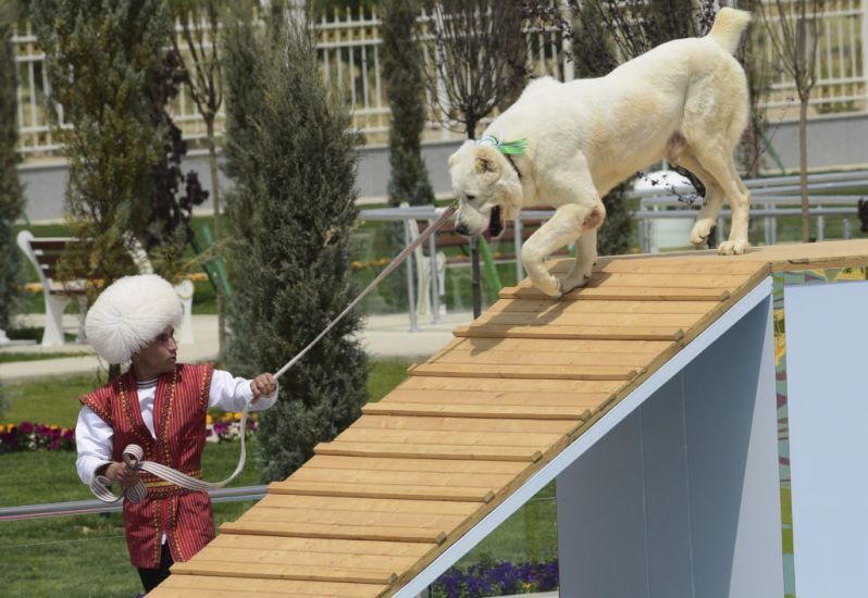 Turkmenistan Dedicates New National Holiday To Native Dog Breed