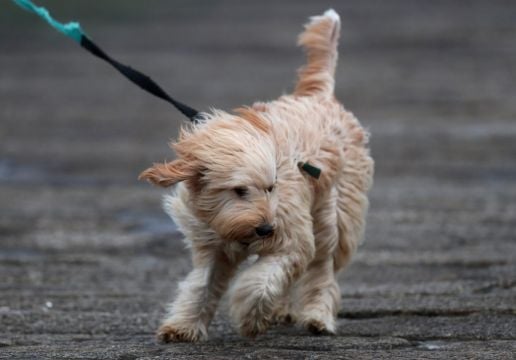 Western Counties Brace For Windy Conditions As Weather Warning Takes Effect