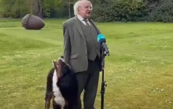 President Higgins' Puppy Goes Viral As He Tries To Get Owner's Attention During Interview