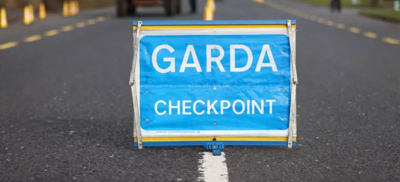 Banned Driver Who Drove Directly At Garda At Checkpoint Loses Sentence Appeal