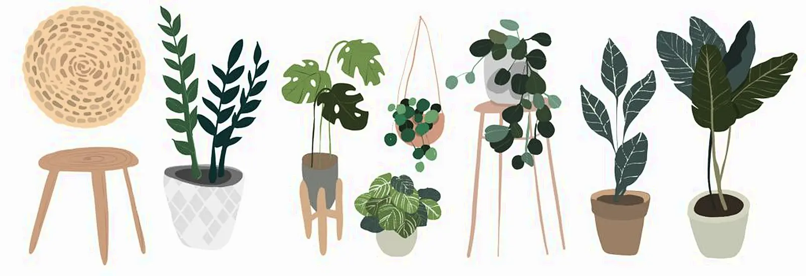 11 Things You’ll Understand If You’re A Consistent Plant Killer