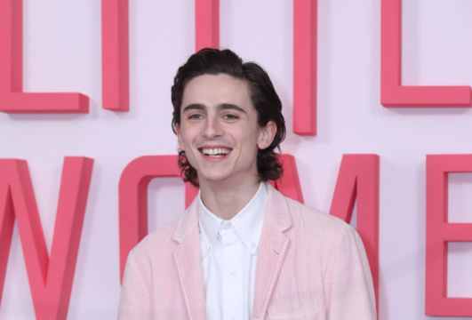 Timothee Chalamet To Play Young Willy Wonka In Origins Film