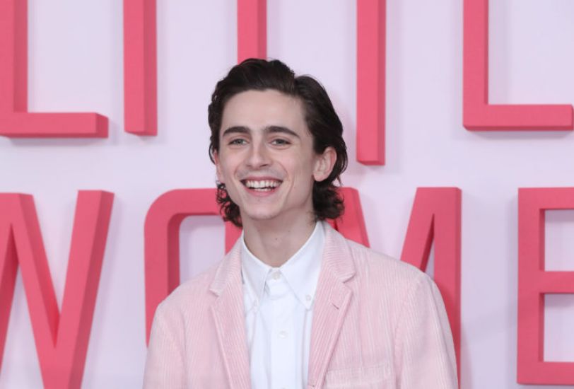 Timothee Chalamet To Play Young Willy Wonka In Origins Film