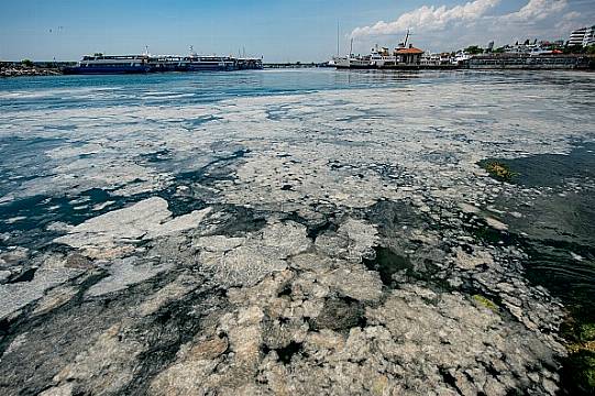 ‘Sea Snot’ Outbreak Off Turkish Coast Poses Threat To Marine Life