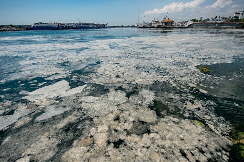‘Sea Snot’ Outbreak Off Turkish Coast Poses Threat To Marine Life