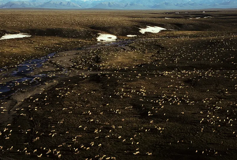 President Joe Biden Suspends Oil Leases In Alaska’s Arctic Refuge