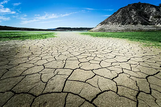 World Environment Day: 4 Pieces Of Really Good News To Temper The Eco-Gloom