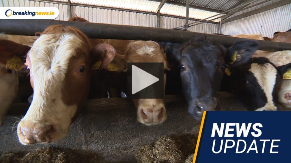 Video: Gigs Return, Farmers Protest And Covid Indicators Improve