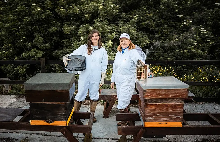 Swarm Of Bees Inspires Mother And Daughter To Create New Gin