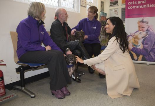 Meghan Thanks Animal Lovers For Supporting Welfare Charity
