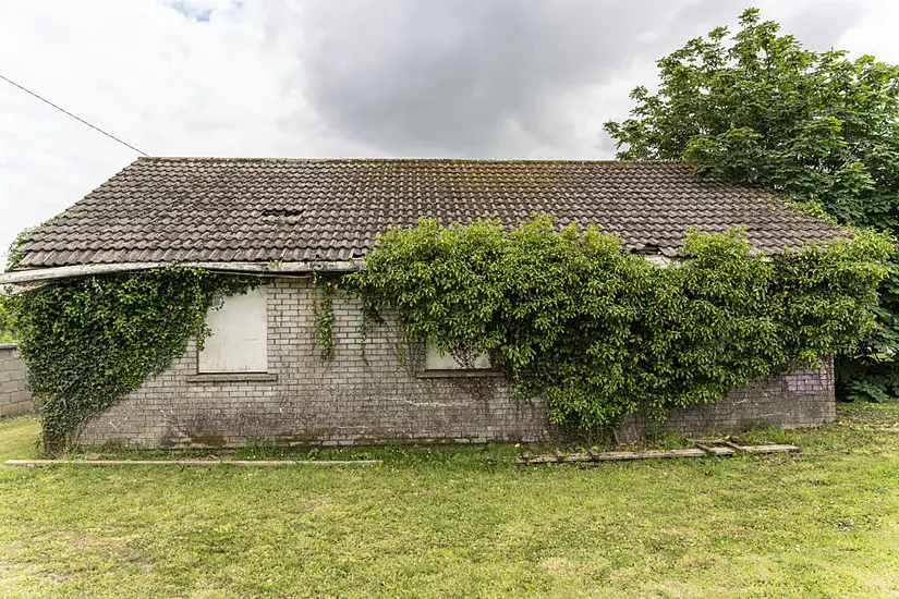 Building Beside Creche In Laois Infested With Rats, Councillors Claim