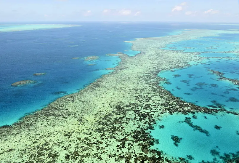 Australia Fights Un Plan To Downgrade Great Barrier Reef’s World Heritage Status